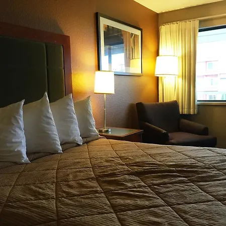 Chestnut Tree Inn Portland Mall 205-2